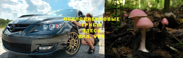 а пвп мука Алексеевка